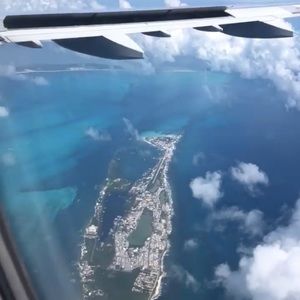 Meet your Posher, Bobbie